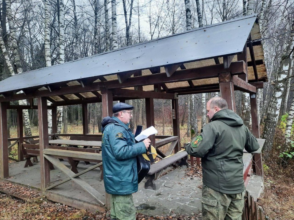 Не там построил: в лесах Ленинского округа нашли беседку, которой там быть не должно, и уже составили протокол