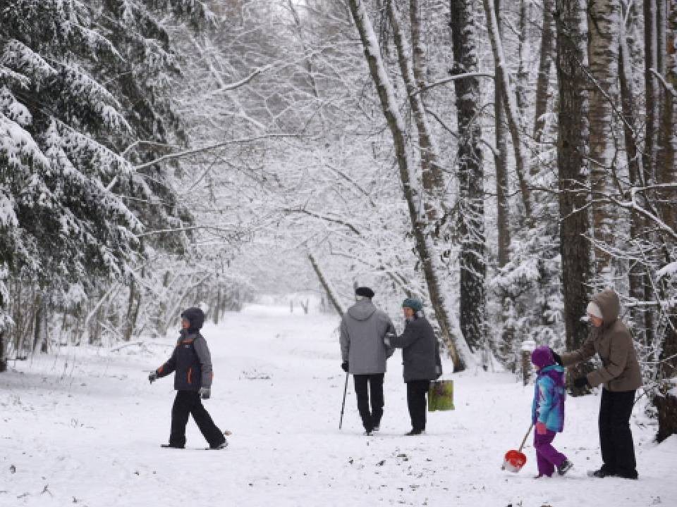 Когда московские дороги покроются первым гололедом и стоит ли ждать устойчивого снега в эти выходные