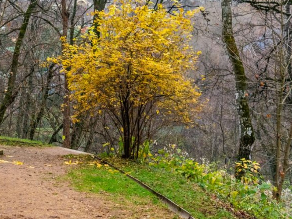 От одного до четырнадцати: кто победил в гонке за землей в Коломне