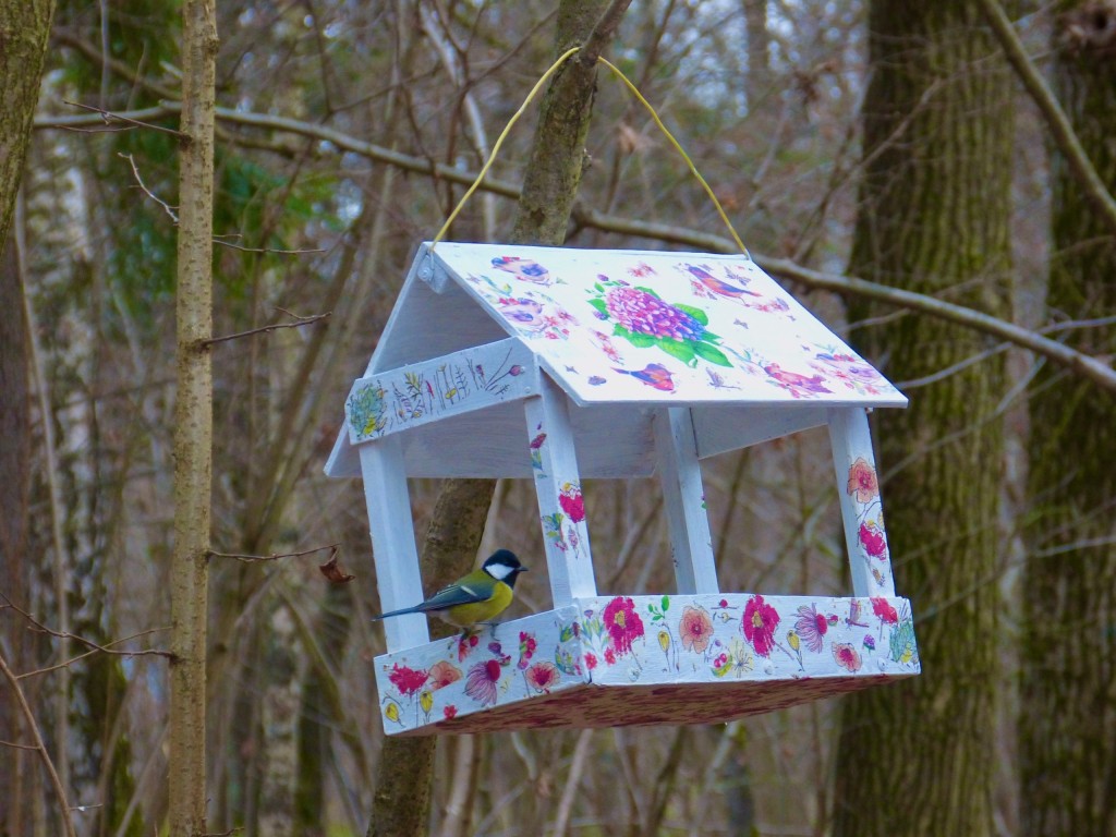 Эксклюзивные кормушки для птиц развесили во Фрязинском лесопарке