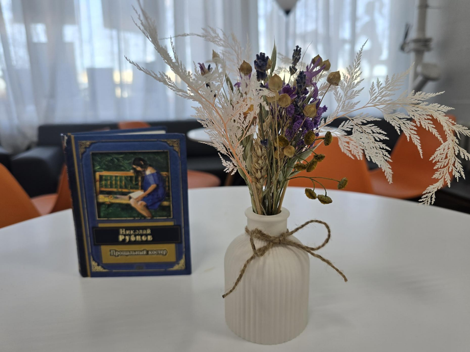 Это рай для книголюбов: необычное библиокафе открывается в Можайске