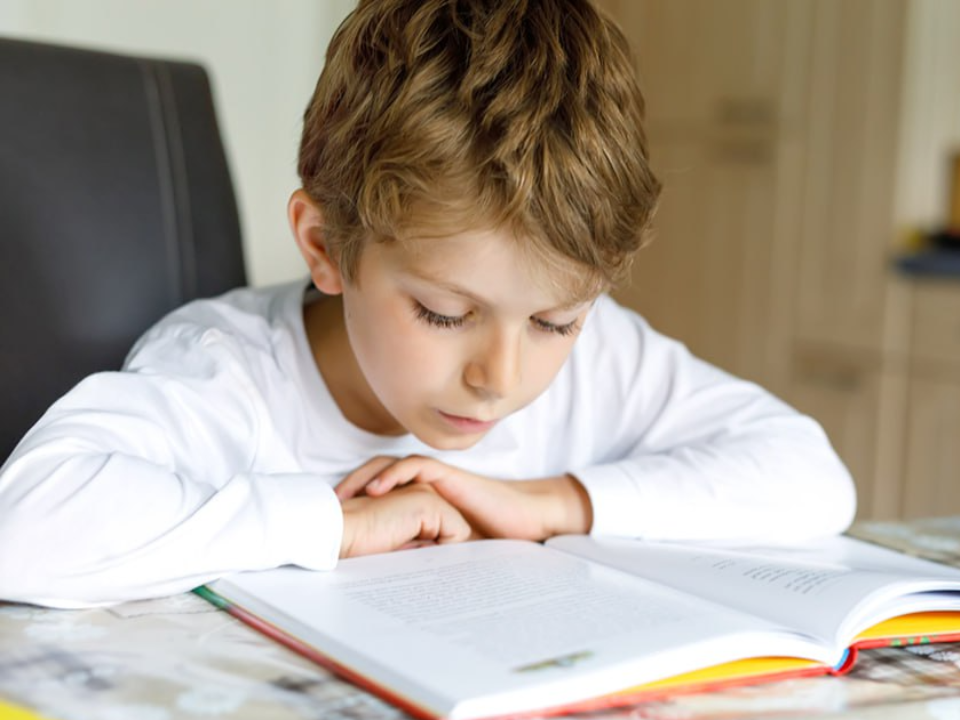 Мир приключений в Дмитрове: книжный клуб «Читалия» ждет детей и их родителей