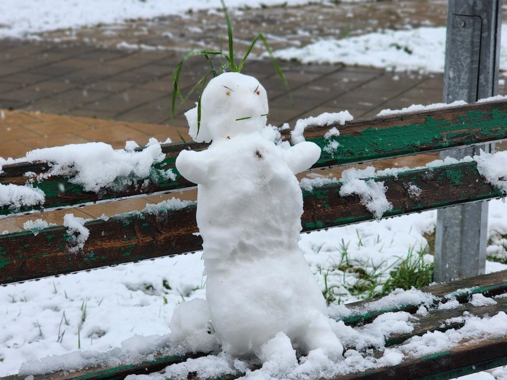 В Лосино-Петровском уже слепили первого снеговика