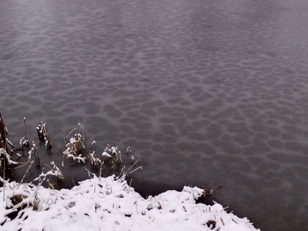 В Рузском округе жители определяют, каким водоемам нужна очистка