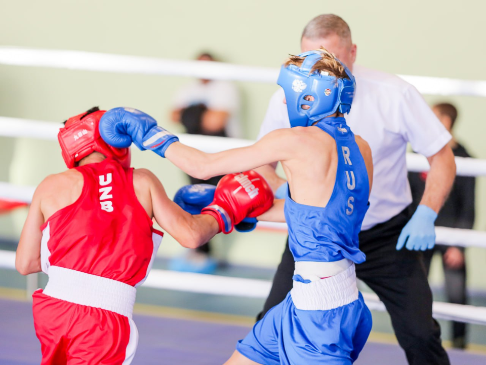 Международный турнир по боксу собрал более 90 спортсменов в Красногорске