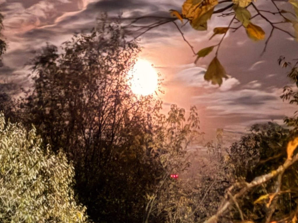 Секретный ритуал от взяточников и главный запрет, чтобы не остаться одной: что запрещено и разрешено делать на 26 ноября в день Иоанна Златоуста