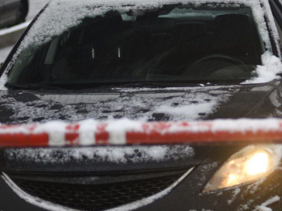 «Вижу цель — не вижу препятствий»: таксист выдернул руками шлагбаум в Павшинской пойме