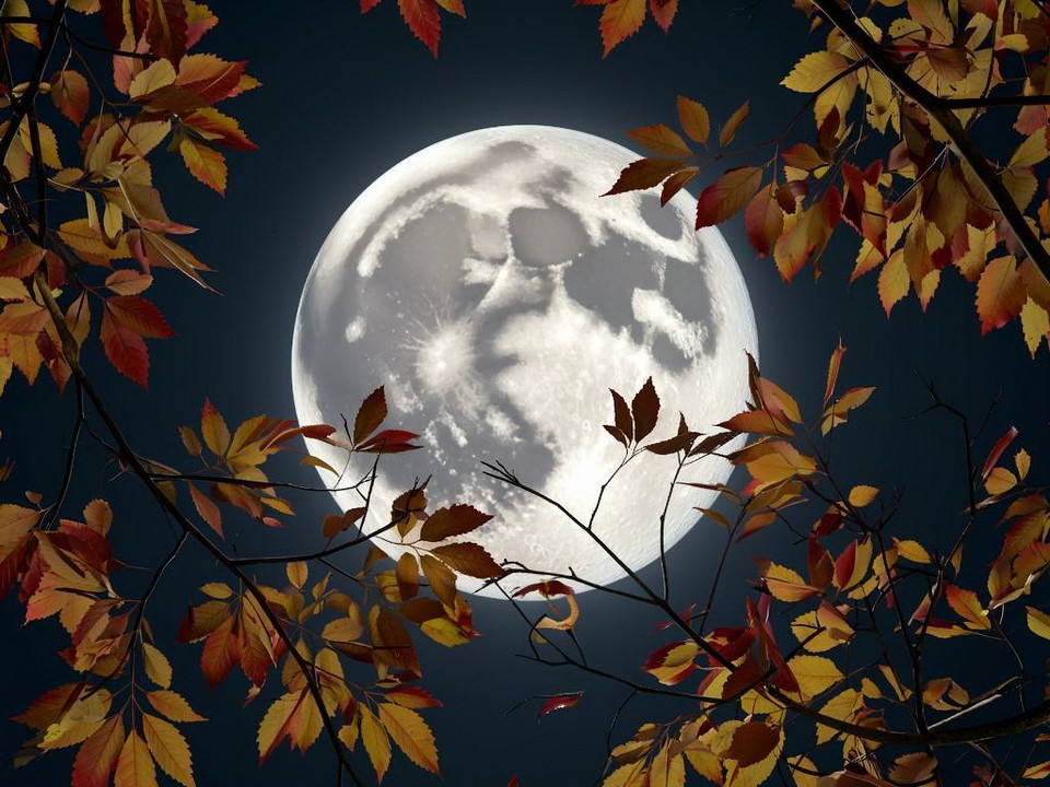 Стало известно, чем закончатся семнадцатые лунные сутки