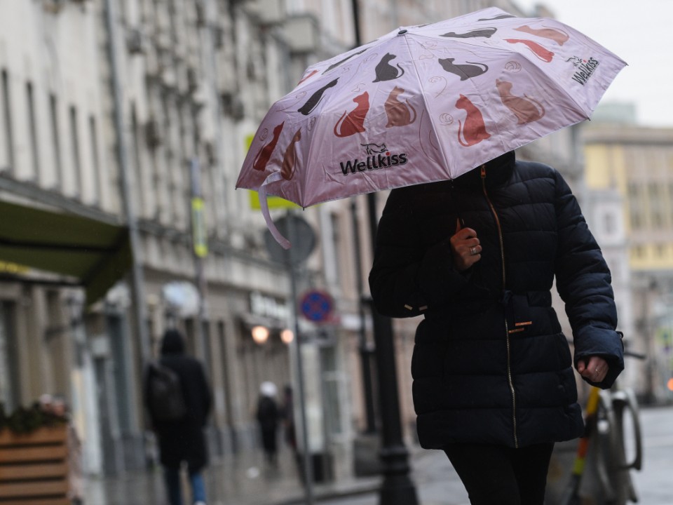 Зима откладывается: синоптики рассказали о погоде в Истре в ноябре