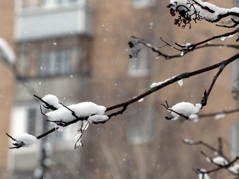 В Клину похолодает и выпадет первый снег на текущей неделе