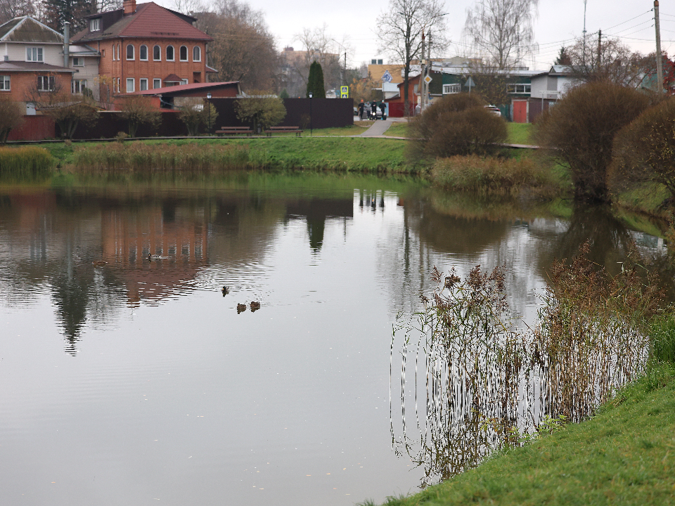 Когда ждать зиму в Подмосковье и о погоде в ноябре, рассказали синоптики