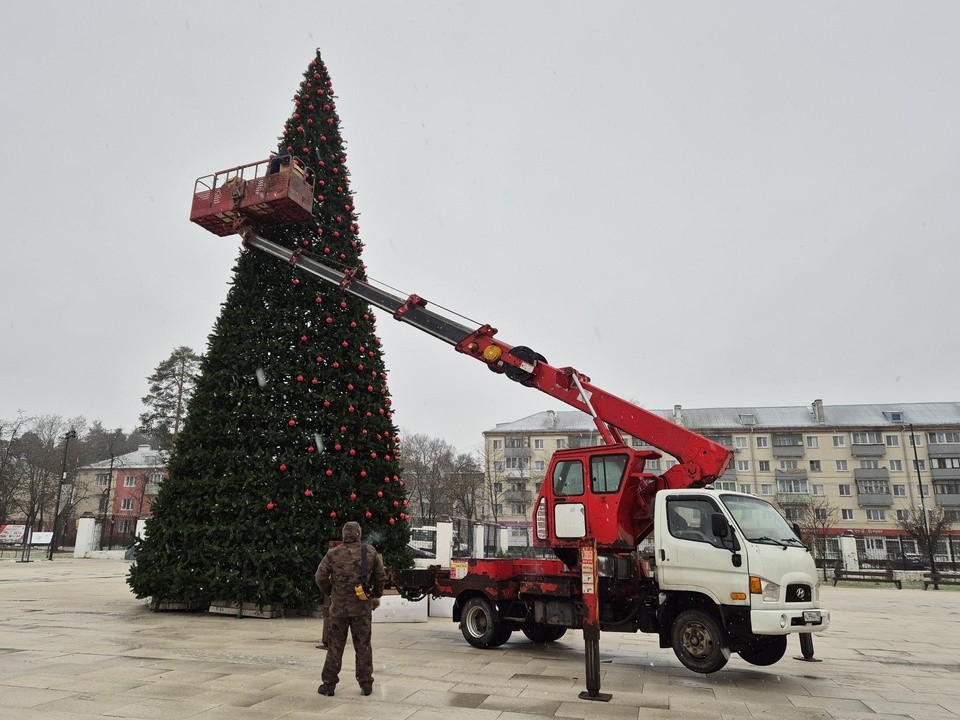 В парке Ликино-Дулева установили главный символ Нового года