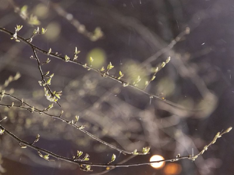 Сезон открыт: первый снег выпал в Рузском округе