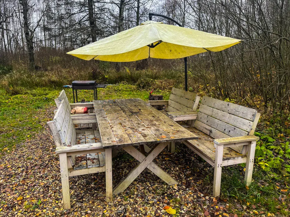 Подмосковные леса перестанут быть «пороховой бочкой»: какие мероприятия помогают навести порядок