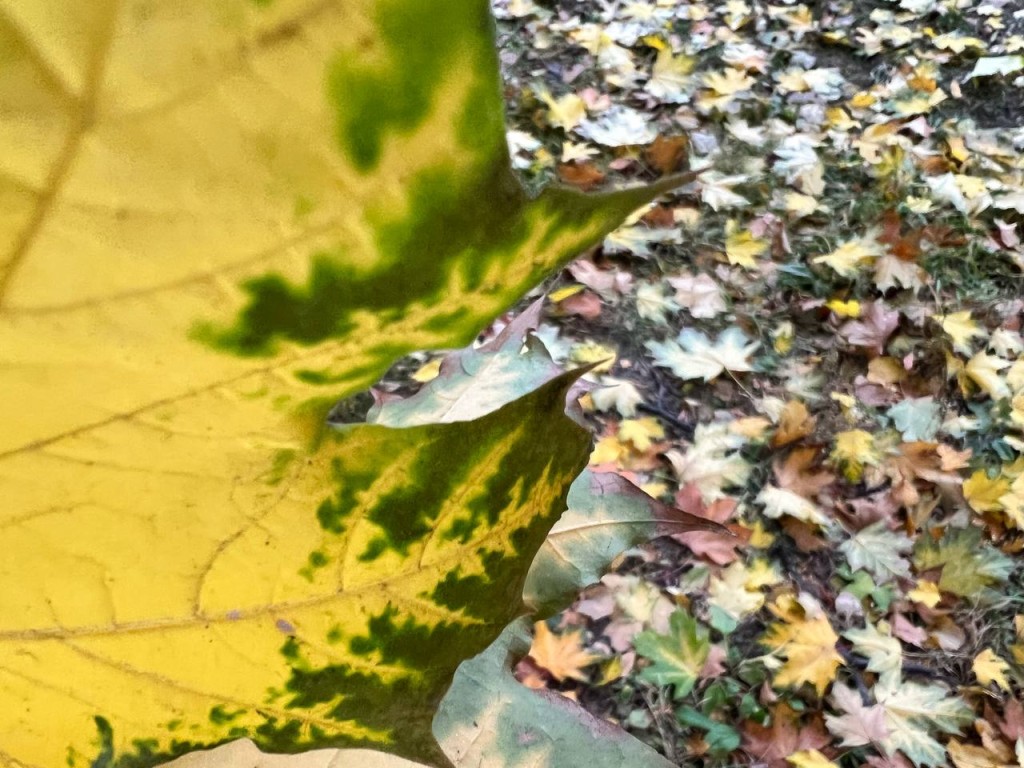 ИИ-платформа МФТИ научилась предсказывать микропогоду в городах, даже в отдельном дворе