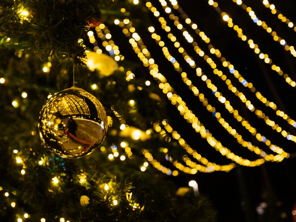 Пройти в ТЦ на Каширском шоссе теперь можно только через новогоднюю ель