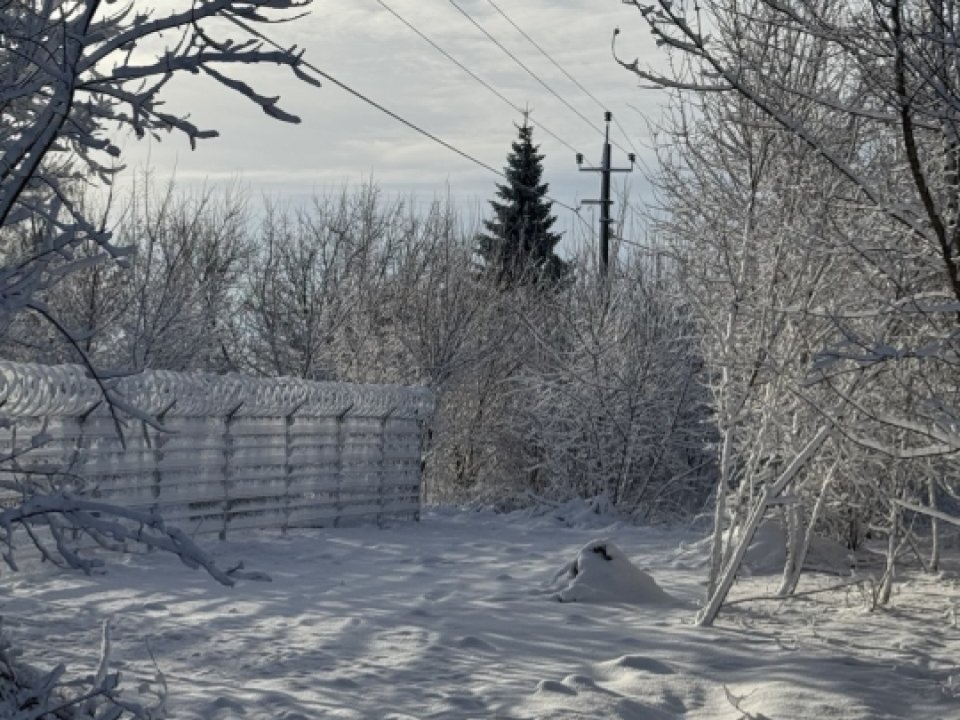 Январские морозы ударят в Подмосковье раньше: что ждать от ноября по прогнозу Вильфанда