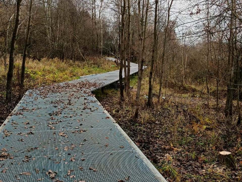 В Тимоново спилили аварийное дерево на набережной озера Сенеж