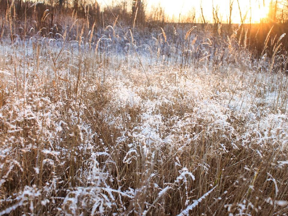 От +1 ночью до +9 днем: какой будет температура в Москве и Подмосковье на дождливой неделе