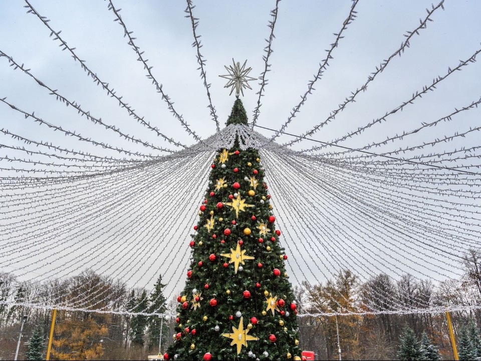 Советской елке - 90 лет! Как отпразднуют в Сергиевом Посаде эту дату без флэшмоба и салюта
