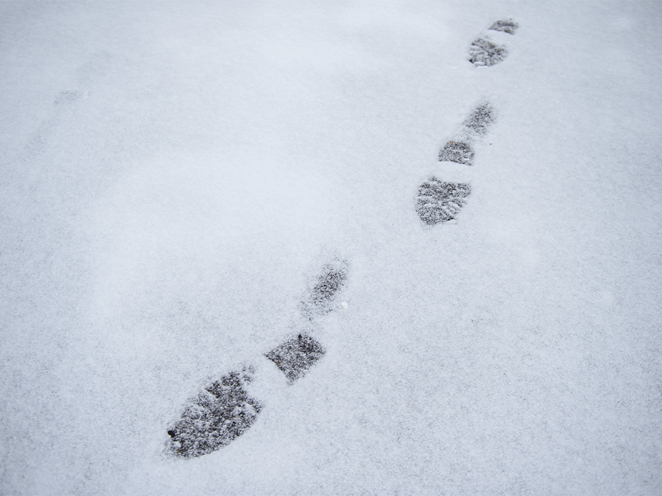 Синоптики Леус и Тишковец раскрыли дату, когда Подмосковье увидит первый настоящий снег