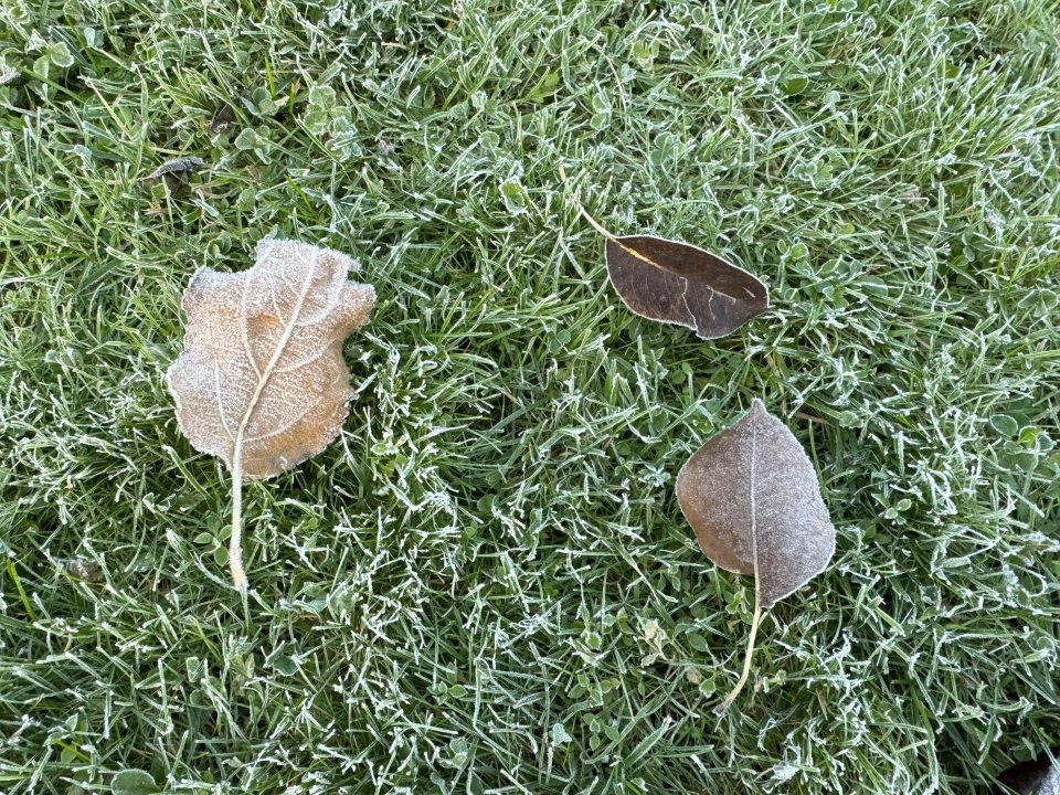 Синоптики назвали причину резкой смены погоды и появления гололеда в Подмосковье