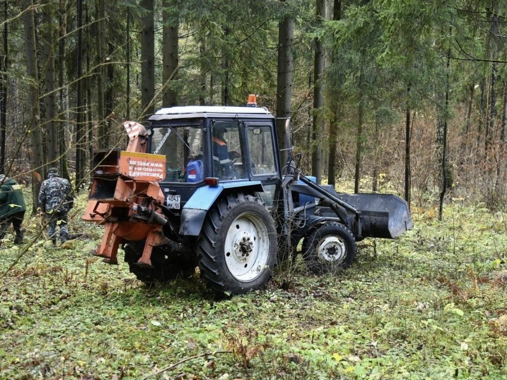 Истринский лес «задышал»: 200 добровольцев «вылечили» его от мусора