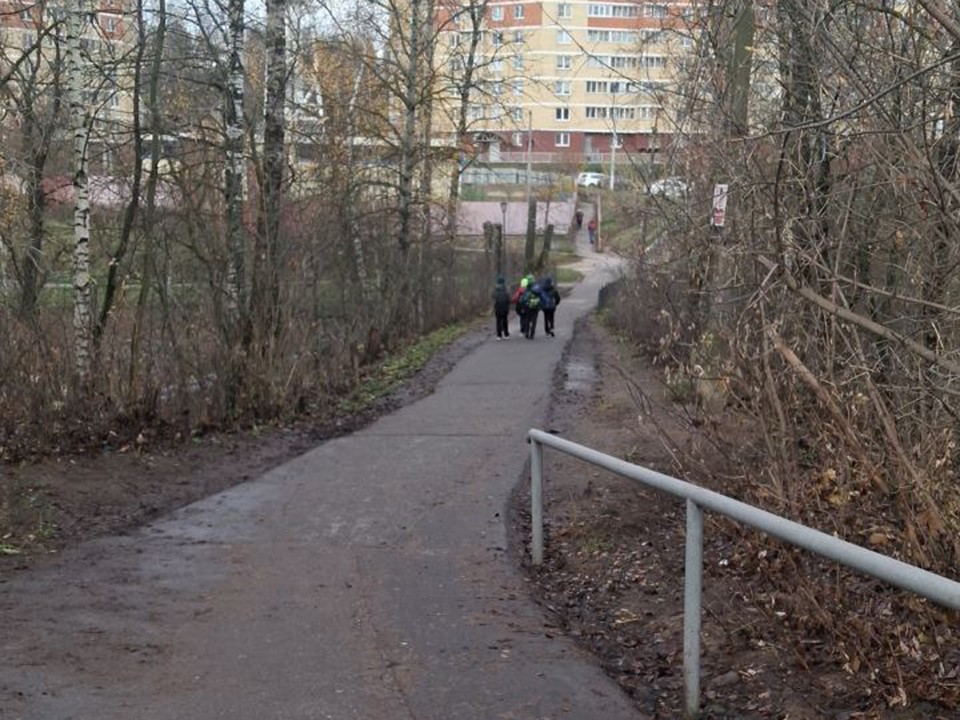 Горы битого стекла вывезли с пешеходной дорожки в Ивантеевке