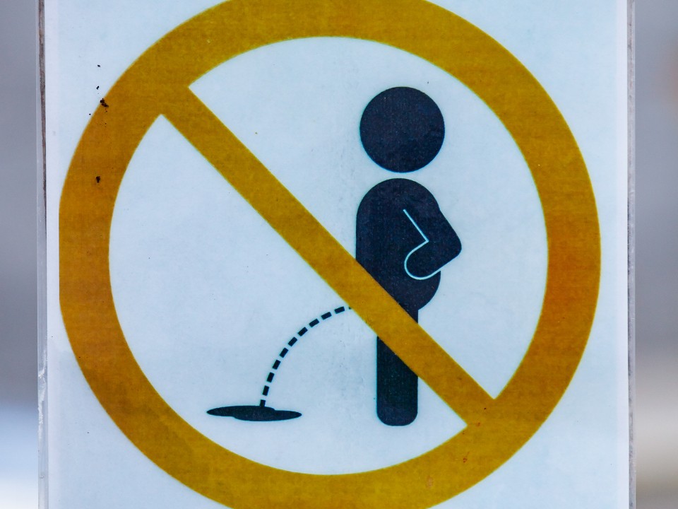 Подмосковный юрист рассказал, когда поход в туалет под открытым небом становится преступлением