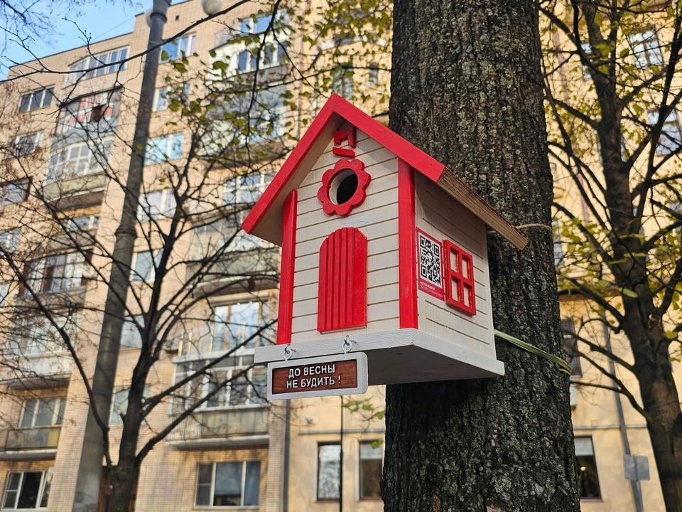 Температура воздуха начнет снижаться в Московской области с 15 ноября