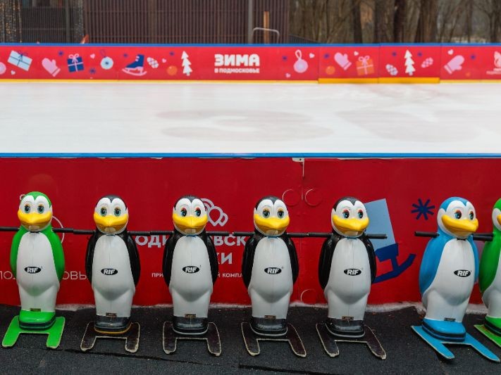 Дождаться зимы: 16 катков и 2 новые хоккейные коробки откроют в Воскресенске