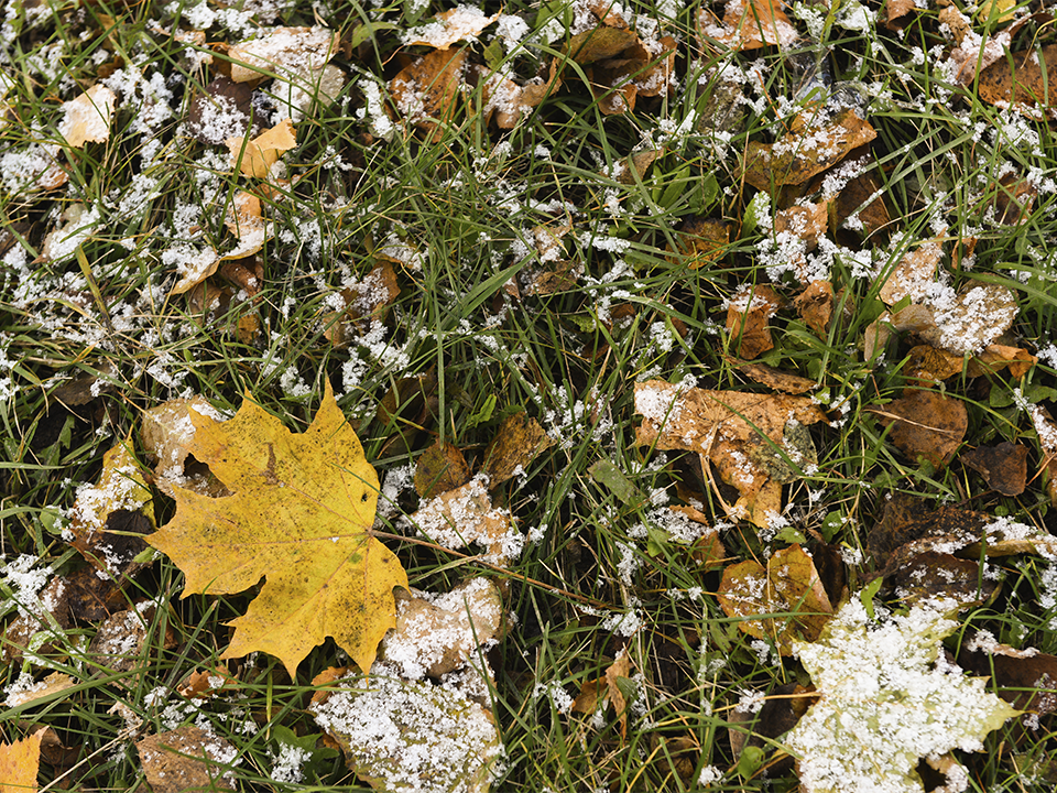 Синоптик Цыганков рассказал, какой сюрприз приготовила погода к выходным в Подмосковье