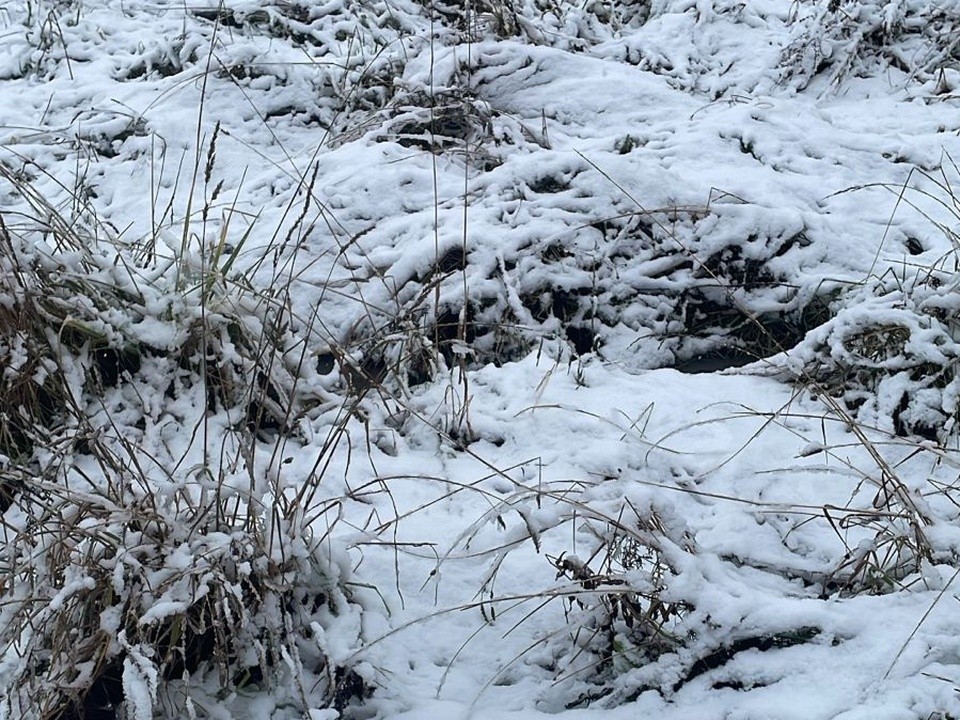 Опасности на дорогах после снега: как избежать аварий и травм