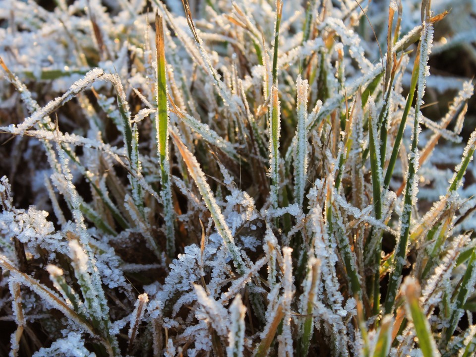 Зима близко: в Подмосковье похолодает уже через считанные дни