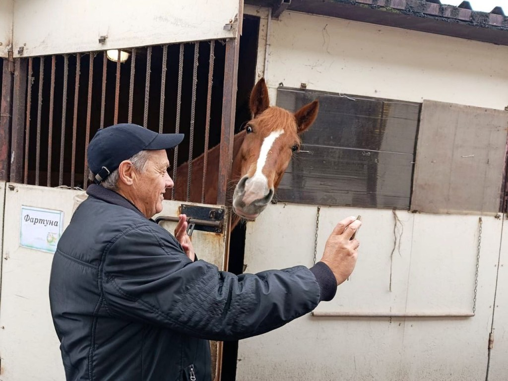 Как живут спортивные лошади: пенсионеры из Серпухова узнали секреты конюшни в Котельниках