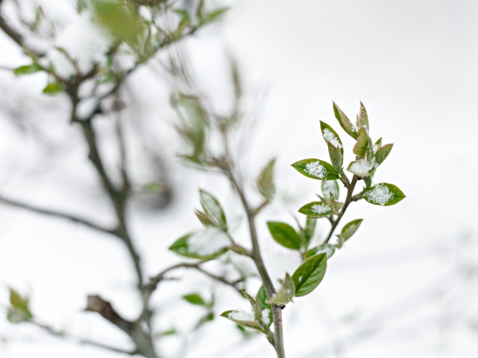 Зима врывается без стука — Подмосковье накроет опасный циклон
