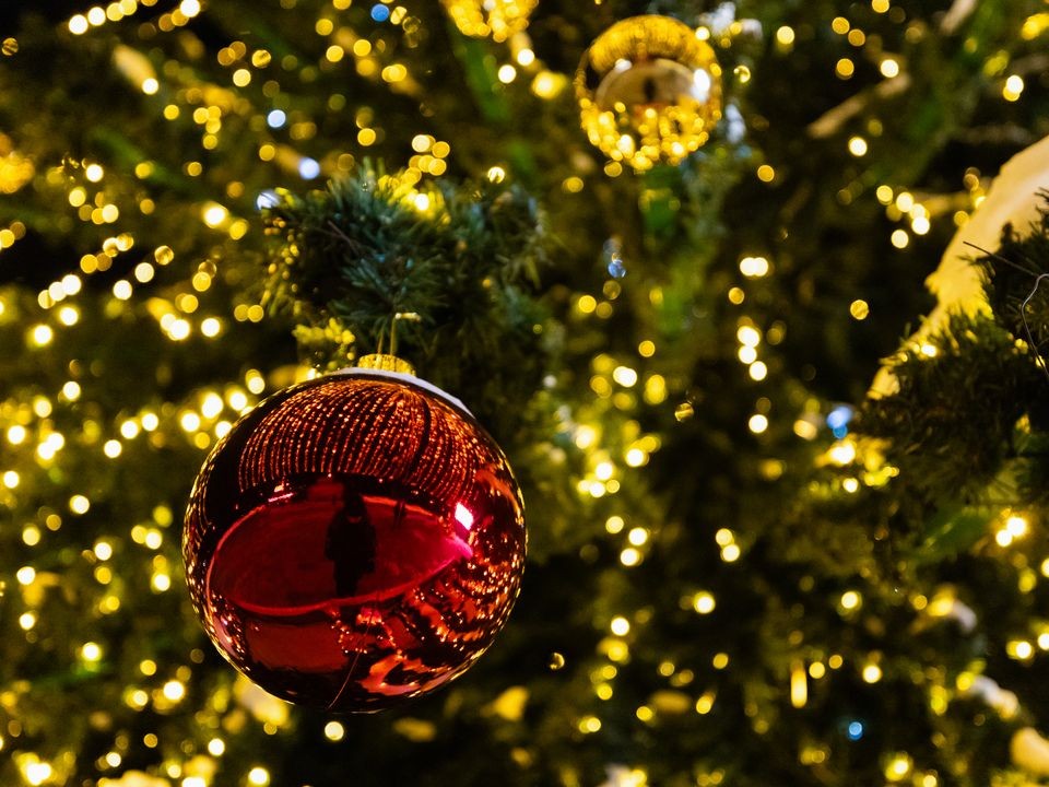 В парке «Пехорка» начали устанавливать новогоднюю елку