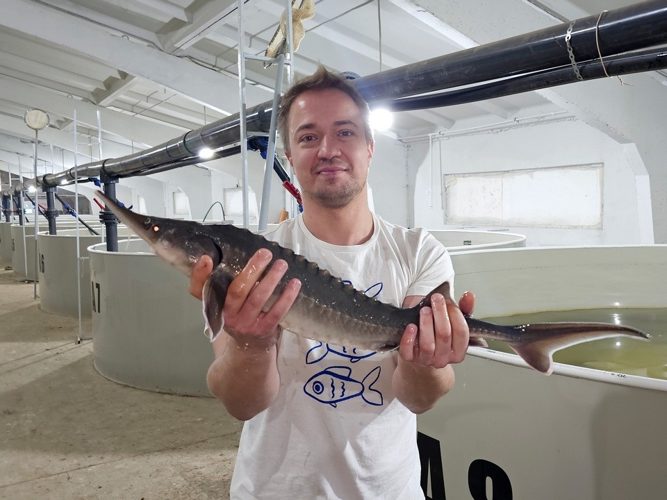 Еще 18 бассейнов и форель: фермер рассказал о развитии проекта в Луховицах