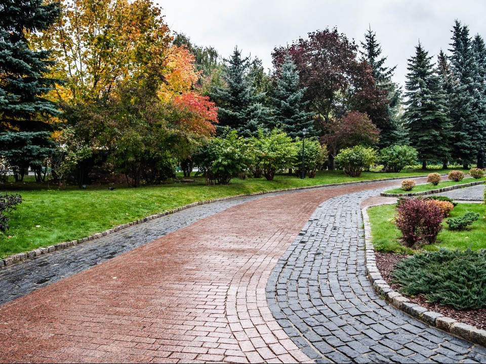 Игорь Николаев, чайный путь, алхимики: куда сходить с друзьями и семьей 9 ноября