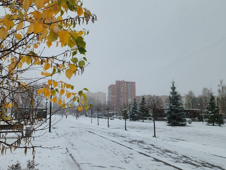 Во вторник температура в Лыткарине поднимется до +10 градусов