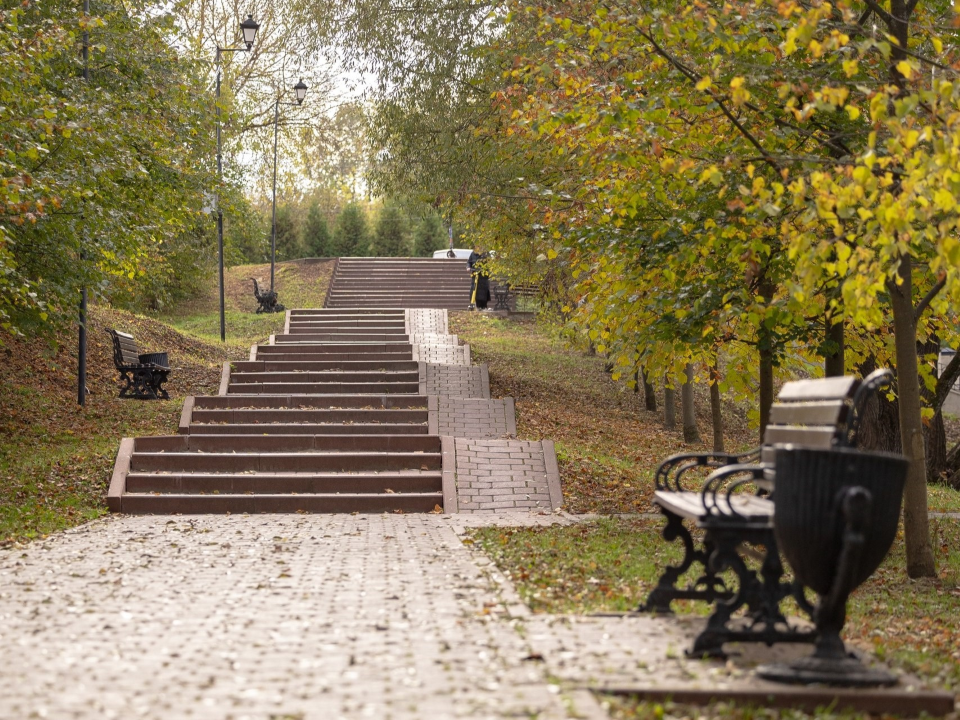 Какая погода будет в Чехове в День народного единства