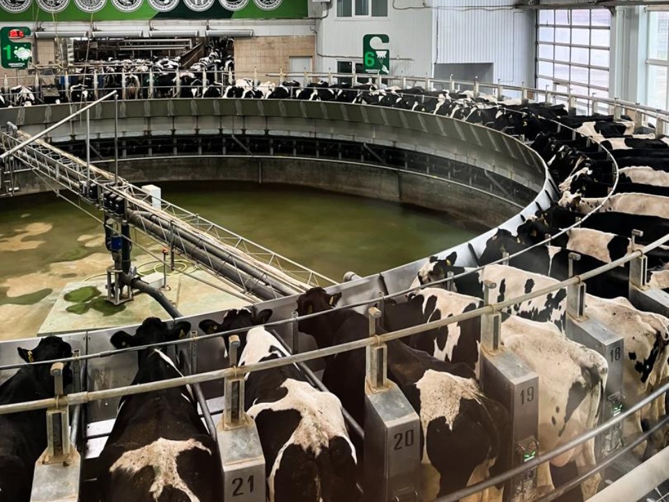 От парты к пастбищу: как студенты‑аграрии погрузились в мир «умной» фермы в Ступине