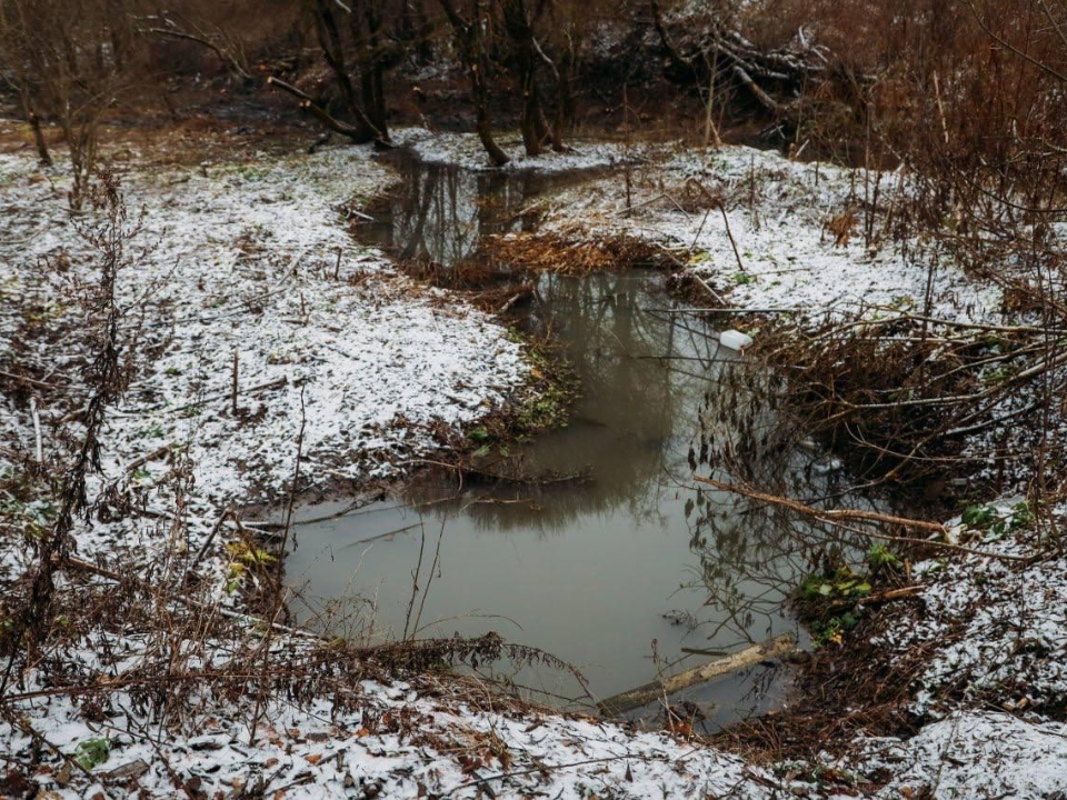 От зарослей и мусора к чистоте: как преобразился ручей у Московского шоссе