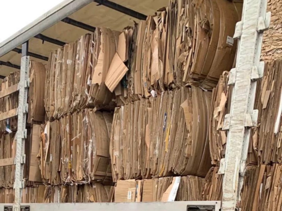 «Картонный бум» в Раменском: как гофрокартон отправляется в путешествие — подробности эко‑акции от «Мегабака»