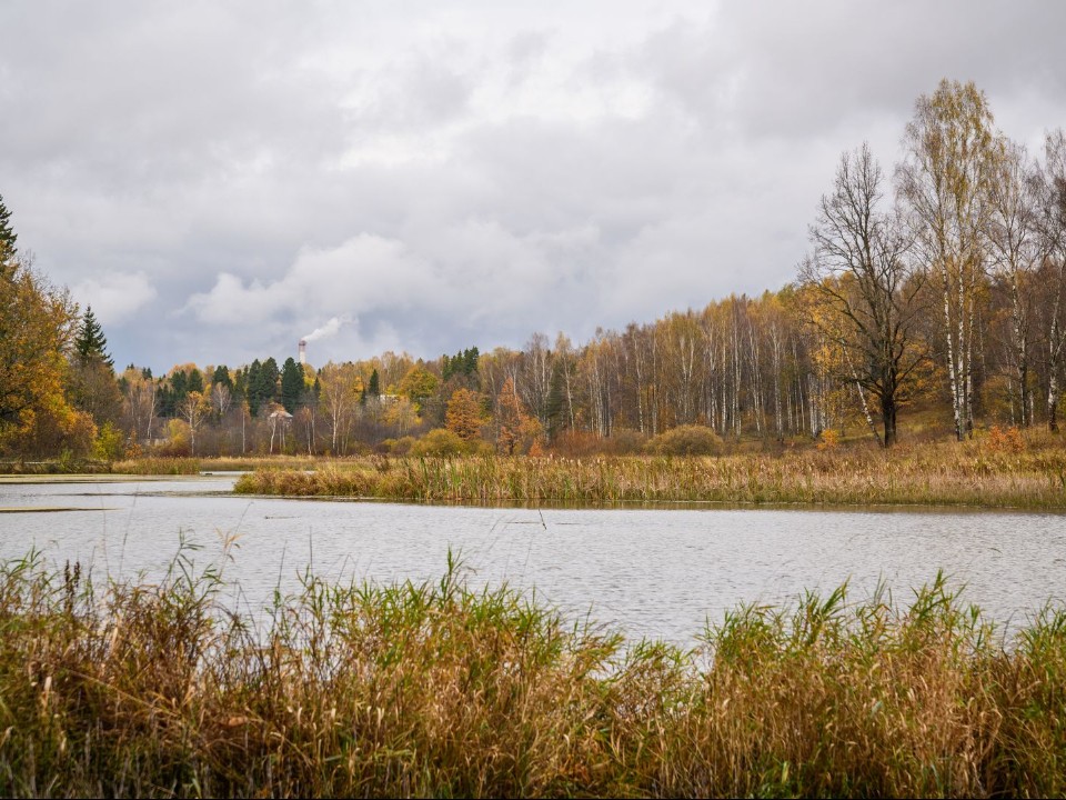 Отдых по госпрограмме: почему берег реки Уча скоро станет местом притяжения