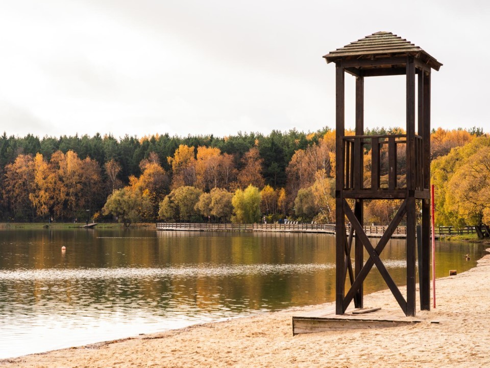 Кореневский карьер ждет перевоплощение: в Люберцах появится новая точка притяжения