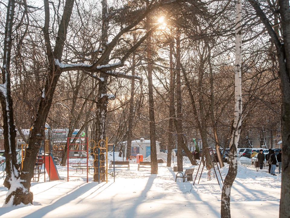Редкий ноябрьский луч: синоптик Леус пообещал жителям Подмосковья «забытое» солнце 23 ноября