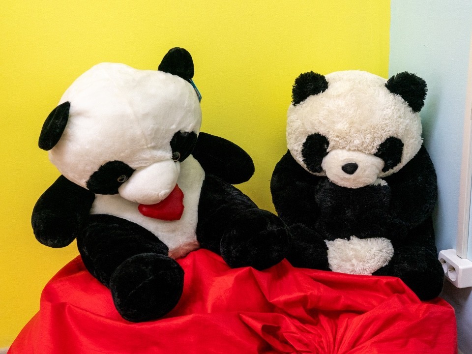 Безопасность прежде всего: Мишонова назвала правила выбора детских игрушек