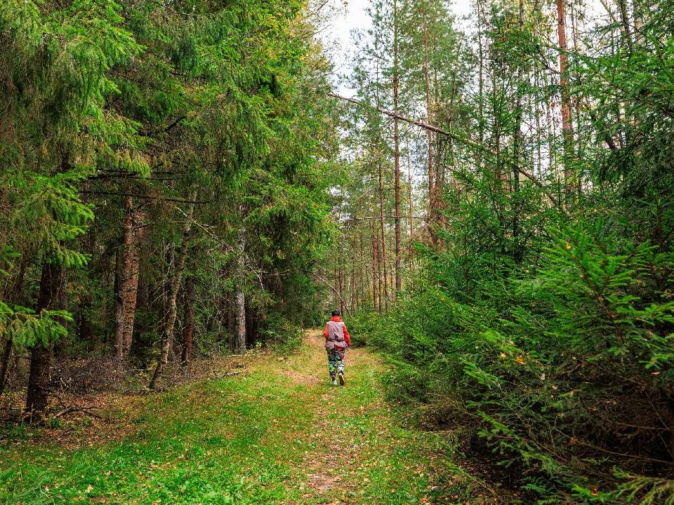 «Живут в страдании»: психолог назвала негативные последствия долгого отказа от общения с социумом