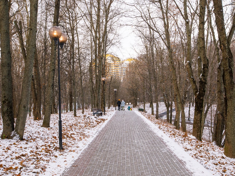 Третья попытка зимы: сколько дней пролежит снежный покров в Московском регионе